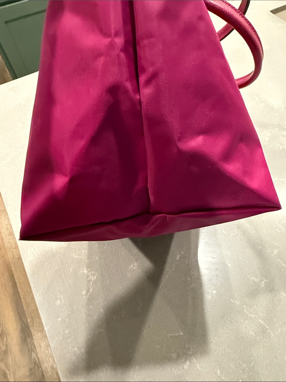 Longchamp Tote in Bright Fuchsia with Black Logo - Picture 11 of 11